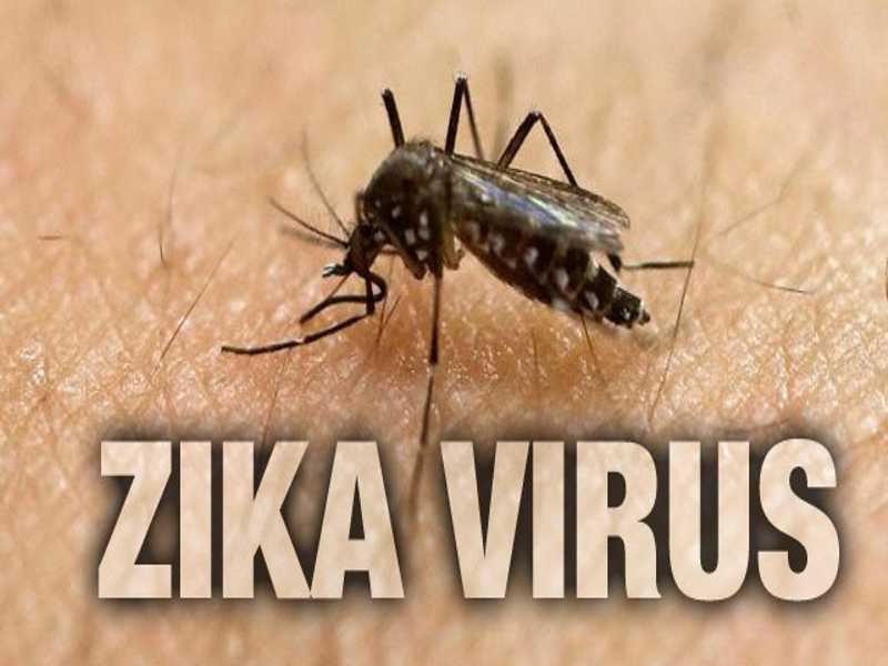  Dvidas sobre o vrus Zika e sobre microcefalia